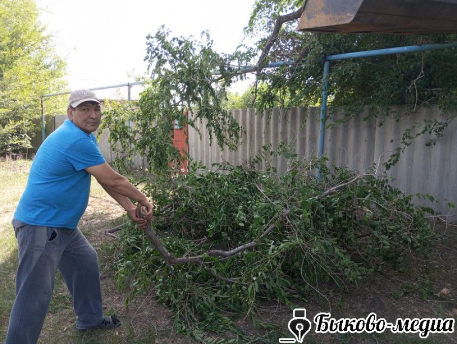 В Красносельце проведена обрезка деревьев