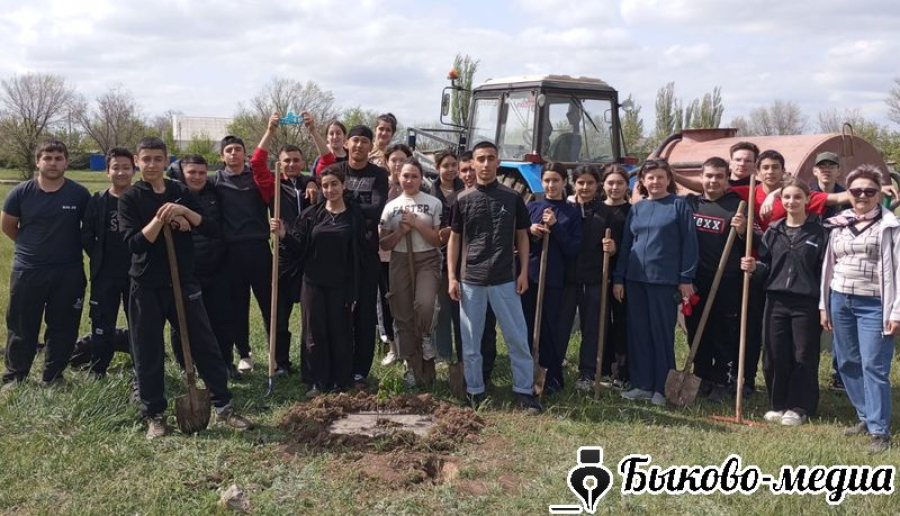 В Красносельце высажена аллея каштанов