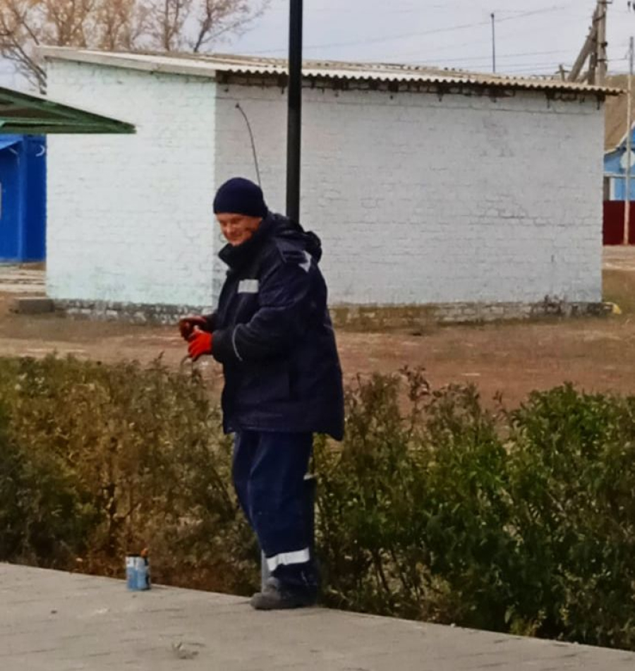 В Катричеве наводят порядок  и высаживают новые деревья