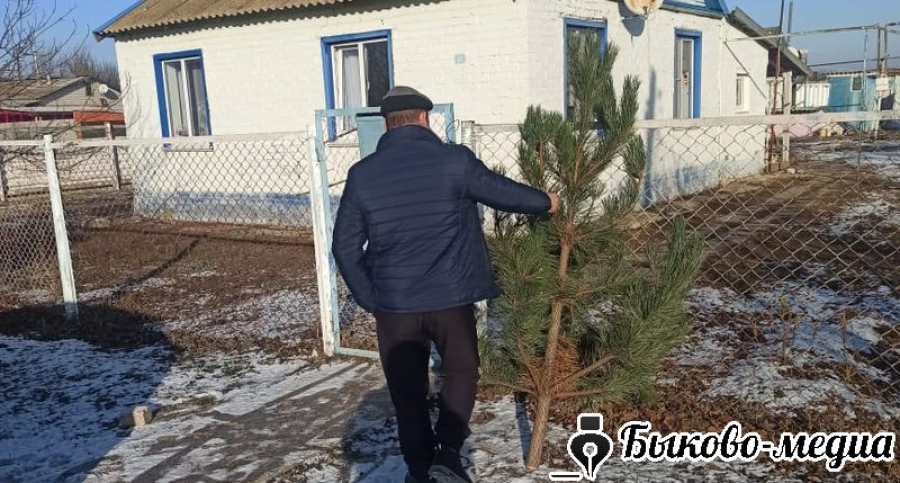 В Солдатско-Степном в семьи участников СВО принесли елки