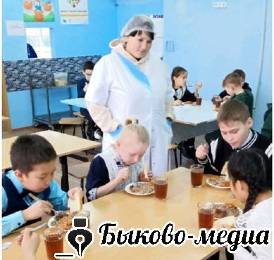 В Александровке  родители проконтролировали  организацию горячего питания
