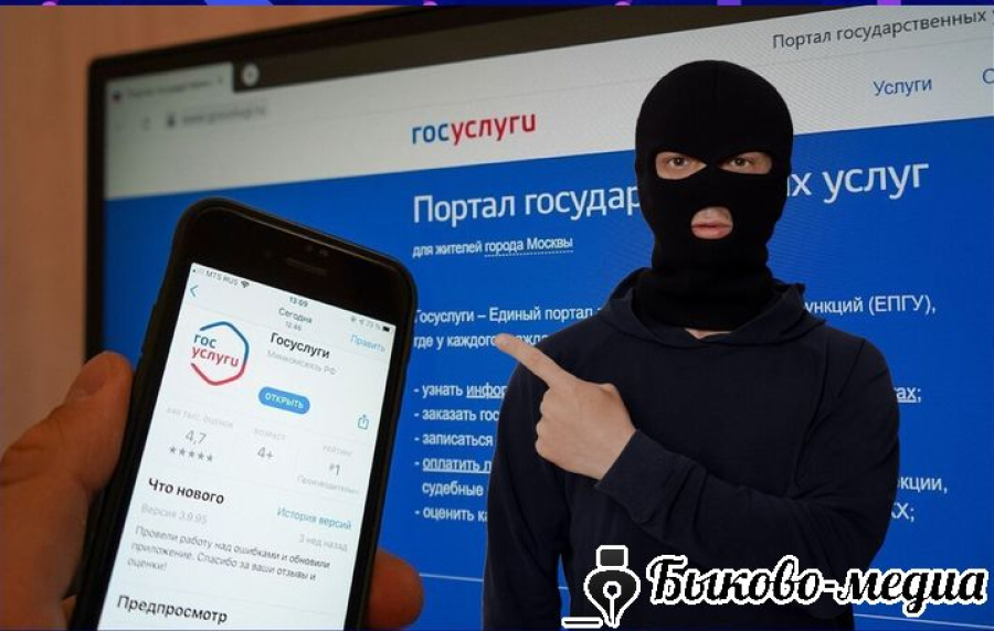 Сотрудники полиции рассказали, зачем  злоумышленникам  чужие личные кабинеты  на &laquo;Госуслугах&raquo;
