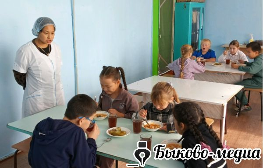 В Александровке прошел родительский контроль питания