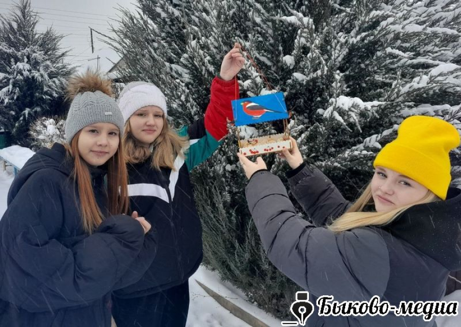 Воспитанники СРЦ развесили кормушки для птиц