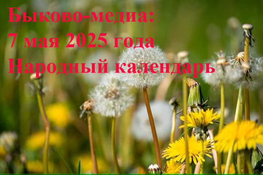 Народные приметы на 7 мая 2025 года