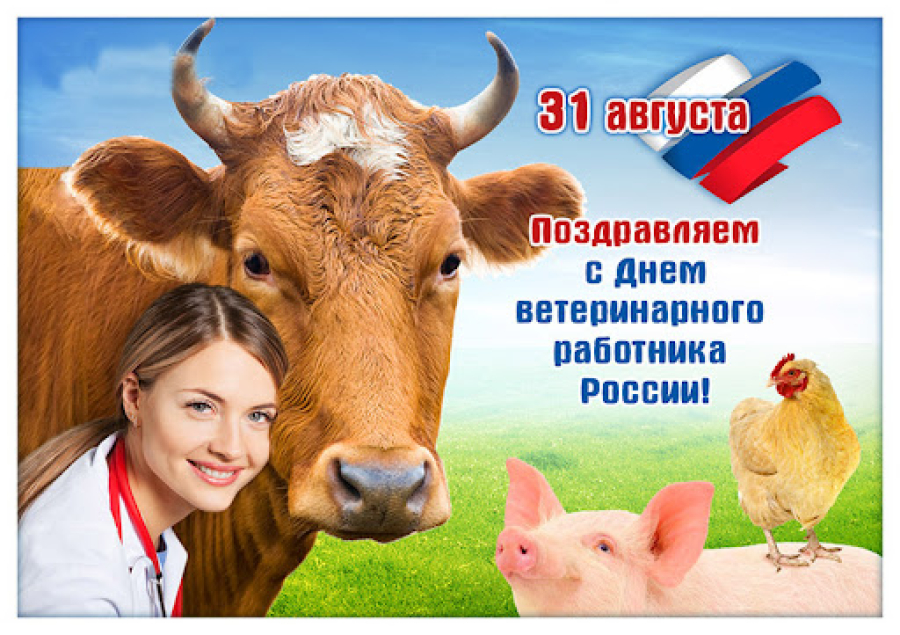 Уважаемые работники и ветераны ветеринарной службы района!