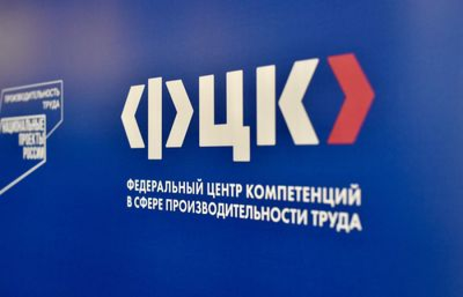 Федеральные эксперты помогут волгоградским предприятиям решить проблемы на производстве, чтобы они не возвращались