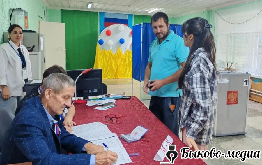 В Садовом третий день голосования идёт в привычном ритме