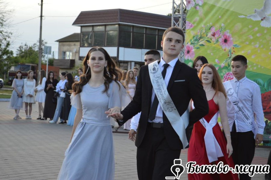 В Быково отметят День молодежи