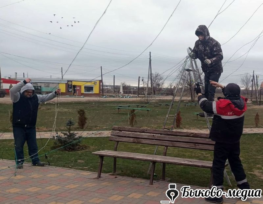 Центральная площадь Приморска заиграла новогодними огнями