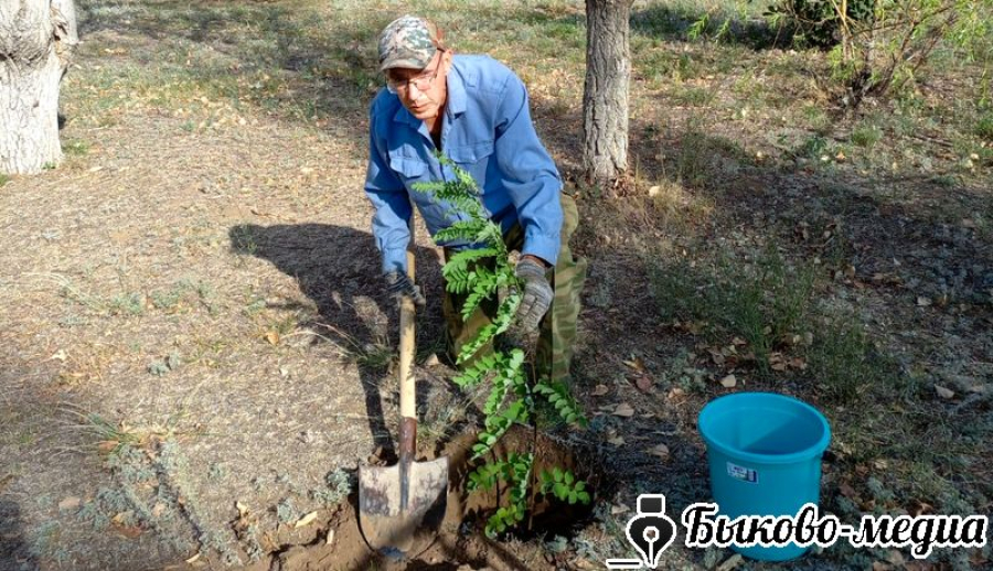 В Зеленом прошла акция &laquo;Посади дерево&raquo;