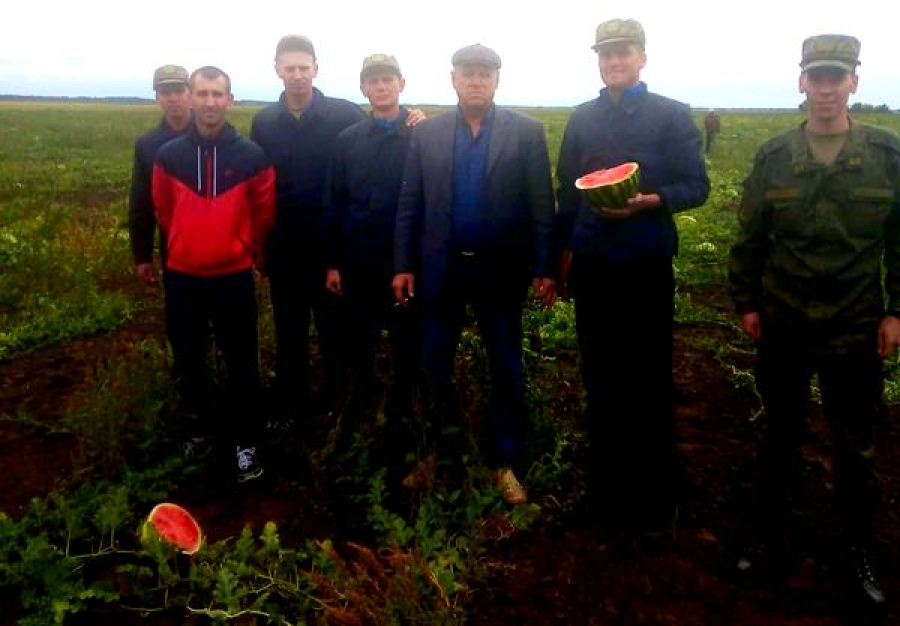 Фермеры Победы отправили солдатам в подарок арбузы
