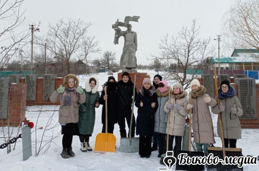 Волонтеры Верхнего Балыклея представят регион в Москве