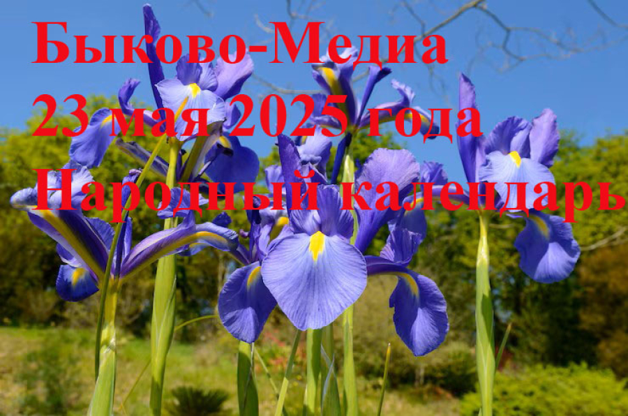 Народные приметы на 23 мая 2025 года