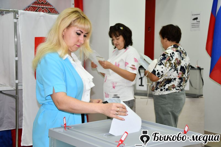 Выборы в Госдуму в Быковском районе: итоги подведены