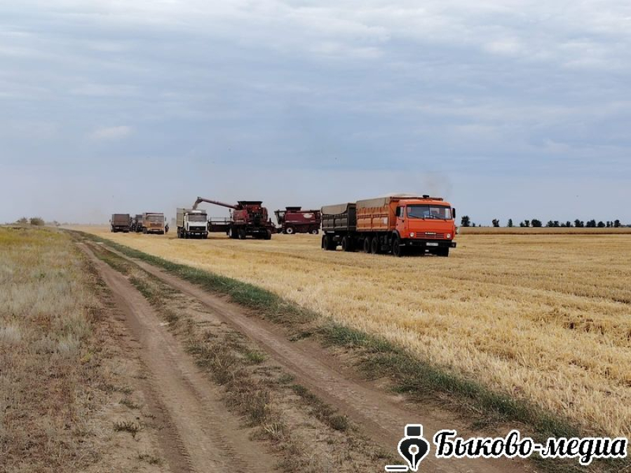 В районе завершили уборку озимых культур