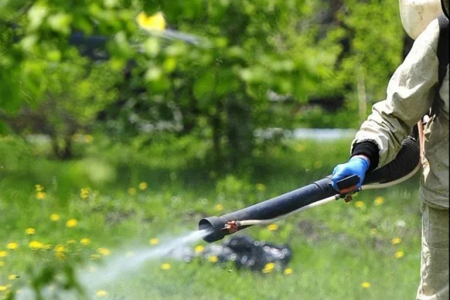 В Быково пройдет акарицидная обработка парка