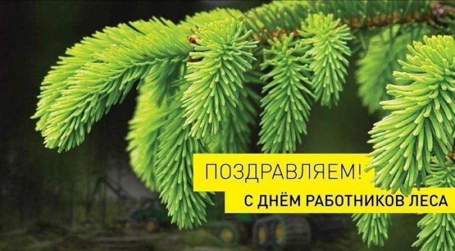 Уважаемые работники и ветераны лесопромышленного комплекса и лесного хозяйства!