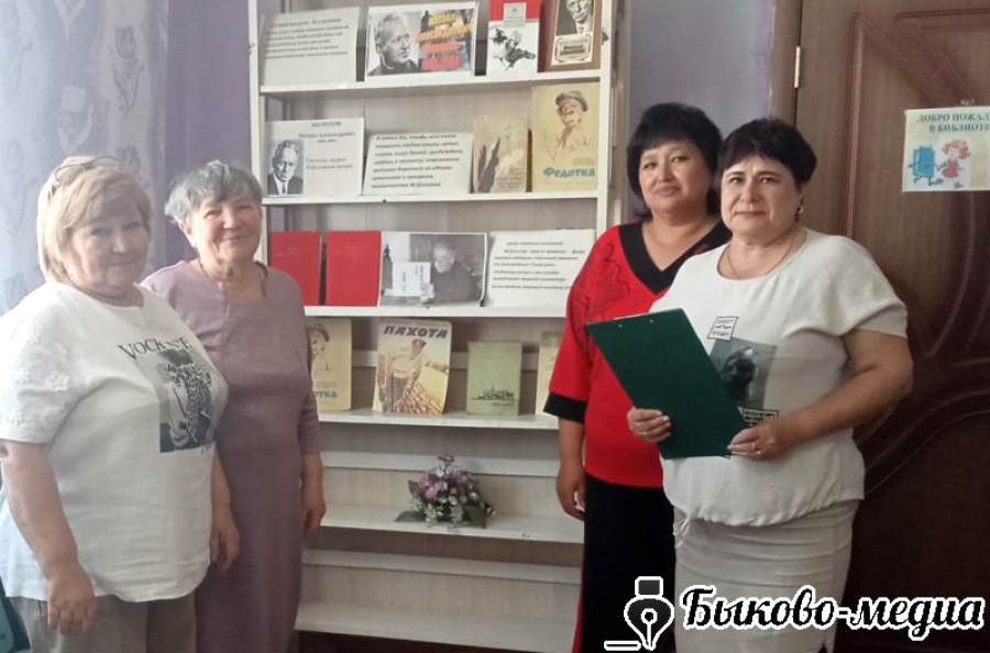 Александровская  библиотека провела литературный час "Слово о Шолохове"