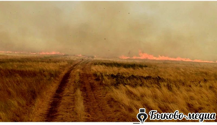 26 июля в Быковском районе горели степь, дома и хозпостройки&hellip;