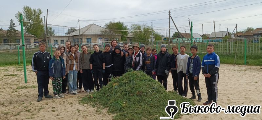 Школьники Кислово убрали волейбольную площадку
