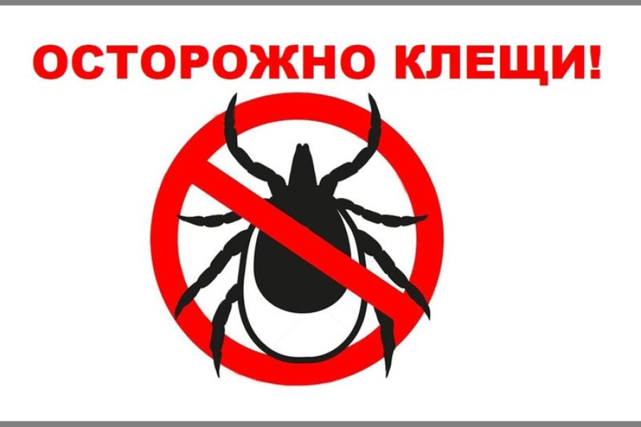 Эксперты предупредили  о ранних клещах