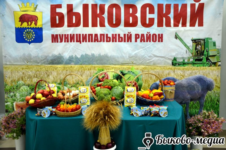 Быковчан и гостей района приглашают на День работника сельского хозяйства