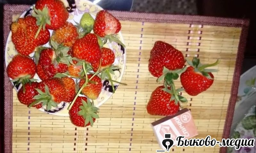 Народные приметы на 17 июня 2025 года