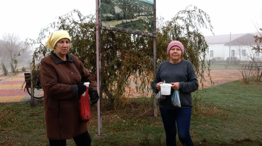 В Приморске на Центральной площади высадили тюльпаны и нарциссы