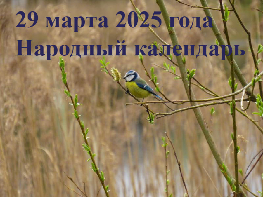 Народные приметы на 29 марта 2025: что можно и нельзя делать в этот день