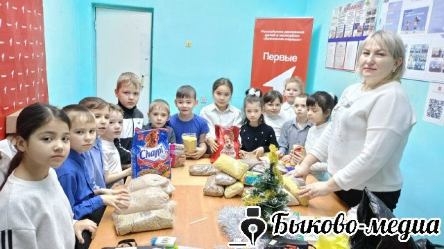 В Солдатско-Степном отметили День советника по воспитанию