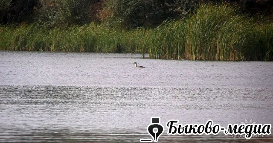 Народные приметы на 8 июля 2025 года
