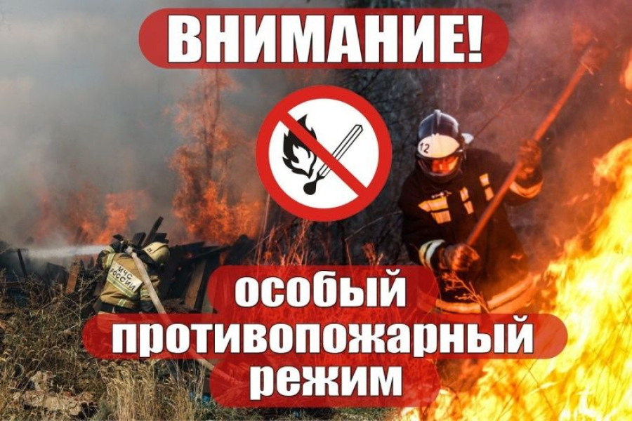 Внимание: введен особый противопожарный режим