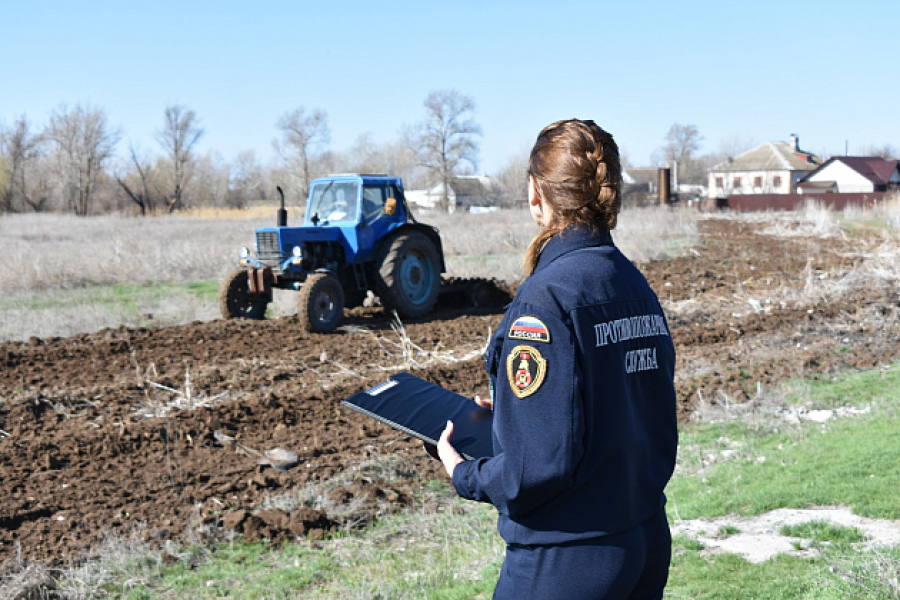 Противопожарные службы усилят патрулирование в Волгоградской области