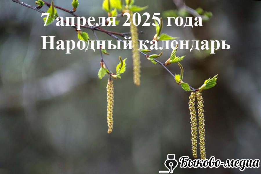 Народные приметы на 7 апреля 2025: что можно и нельзя делать в этот день