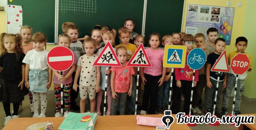 Светофорные правила для &laquo;Смышленышей&raquo;