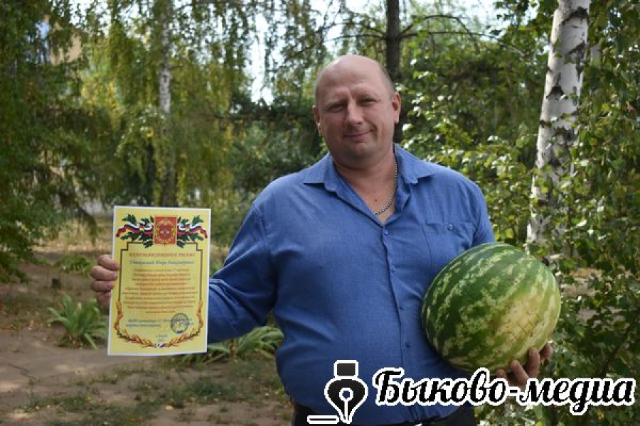 Бахчевод из Быково передал партию арбузов в зону СВО