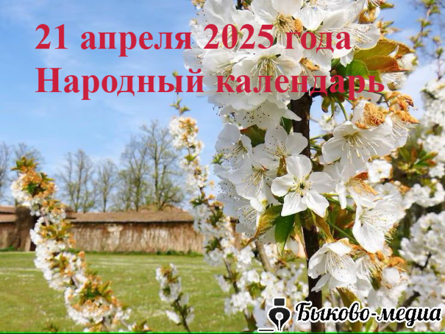 Народные приметы на 21 апреля 2025: что можно и нельзя делать в этот день
