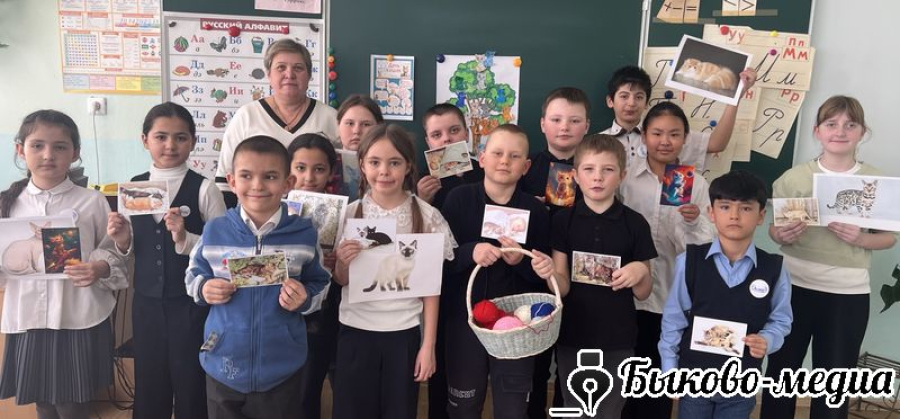 В Луговой Пролейке отметили День кошек