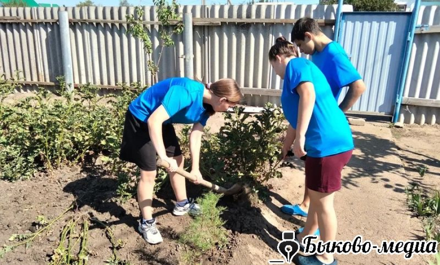 Волонтеры отряда "ДариДобро" приняли участие в акции "Чистый двор"