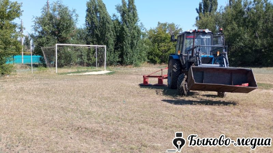 В Красносельце идет покос травы у бесхозных домовладений