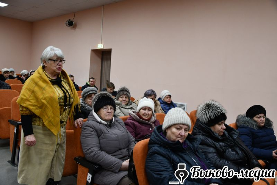 На собраниях граждан в Верхнем Балыклее и Зеленом обсудили насущные вопросы поселений