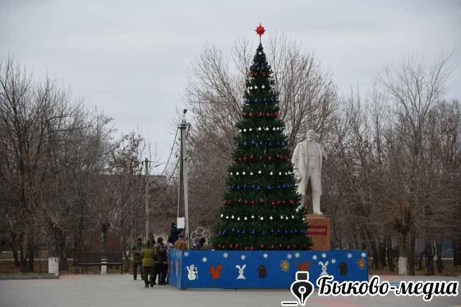 В райцентре зажглись огни на новогодней елке
