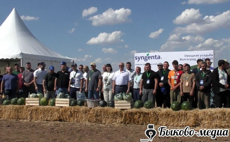 В Приморске проведен  День поля &laquo;Волгоградская область капуста, лук, бахчевые&raquo;