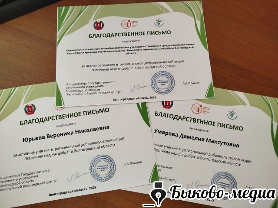 Волонтеры получили благодарность за участие в акции &laquo;Весенняя неделя добра&raquo;