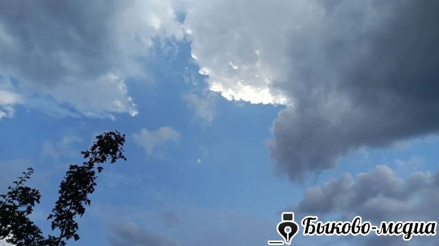 Народные приметы на 6 июня 2025 года