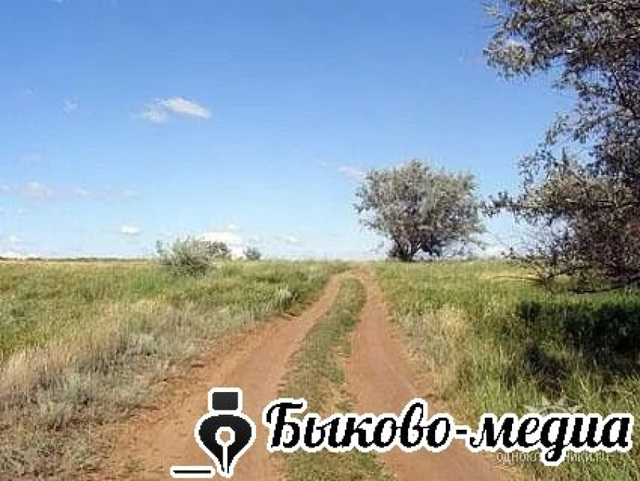 Продлено ограничение пребывания в лесах