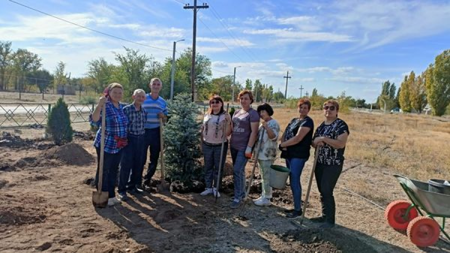 В  парк села Новоникольское высадили ели и туи