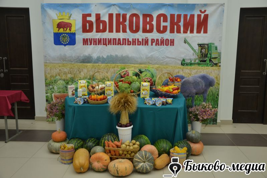 В Быково работников АПК  поздравили с праздником