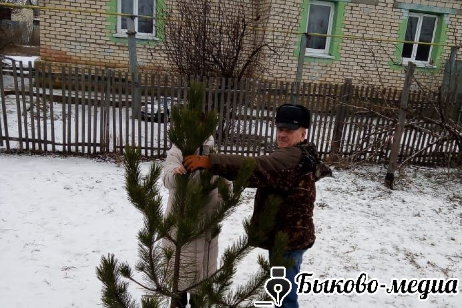 В Победе новогодний символ подарили семьям СВО